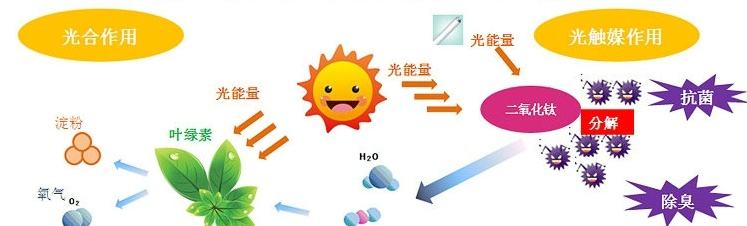 甲醛治理用什么辦法最正確？這三點常見的除甲醛辦法其實是誤區(qū)
