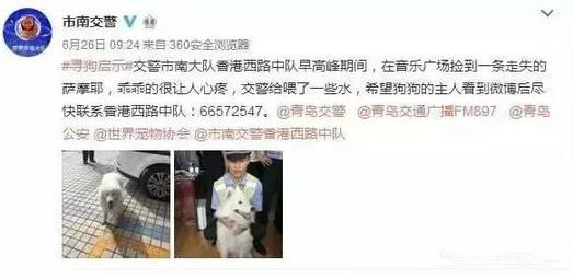 有問(wèn)題找警察，薩摩耶派出所報(bào)案，不注意這件事，對(duì)狗狗致命，警察蜀黍卻幫不上忙！