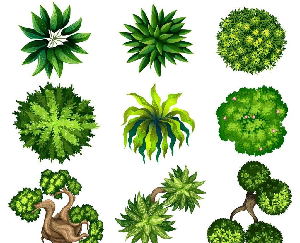 可以凈化室內(nèi)空氣的植物，這二十種您需要好好了解一下！