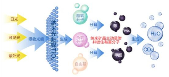 洋蔥可以除甲醛？民間流傳土方法可信嗎？