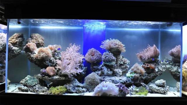 家中旺位和衰位在哪里？三分鐘學習室內(nèi)風水學