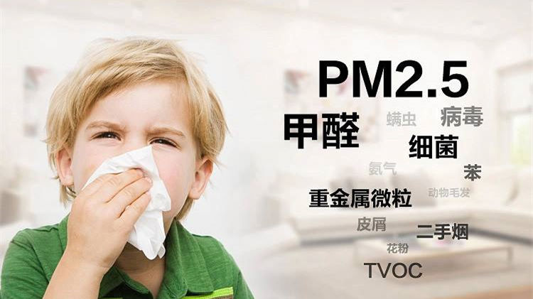 誰說二手車沒有甲醛？汽車除甲醛最有效方法告訴您