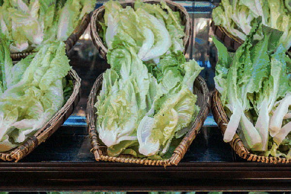 夏至高溫預(yù)警！消暑養(yǎng)生秘笈了解一下？