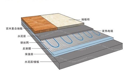 冬季，它們成了甲醛的幫兇
