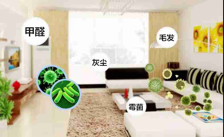 網(wǎng)上的除甲醛好辦法真的有效嗎？原理是什么