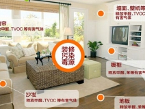 除甲醛加盟要多少錢(qián)？創(chuàng)綠家環(huán)保是哪里的？