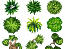 可以凈化室內(nèi)空氣的植物，這二十種您需要好好了解一下！