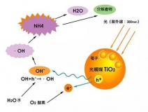 杭州除甲醛的優(yōu)效方法有哪些？