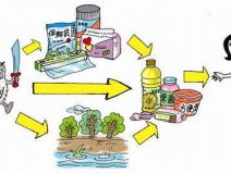 食品中有塑化劑嗎？這些食品中含有大量塑化劑，食用時一定要注意！
