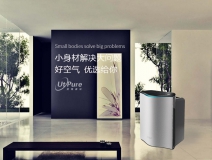 盆栽、魚兒養(yǎng)不活怎么辦 是甲醛導(dǎo)致的嗎？