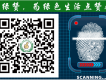 萬萬沒想到！床品上也會有甲醛污染