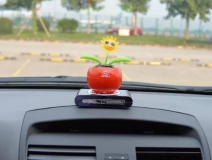新車除醛，車內(nèi)除甲醛什么辦法最好？