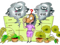 活性炭進(jìn)行甲醛治理真的有用嗎？