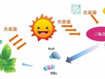 家中甲醛超標，什么才是甲醛治理的正確姿勢？