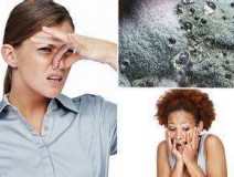 家里有異味怎么辦？科學除味、治理甲醛就對了！