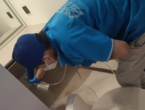 地毯也會(huì)引起甲醛超標(biāo)嗎？