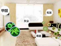 網(wǎng)上的除甲醛好辦法真的有效嗎？原理是什么