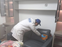 哪種方法除甲醛才是真正有效的呢？