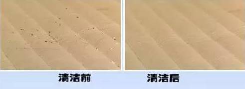 南京美女睡了10年的床墊，掀開(kāi)后把全家人都嚇傻了……