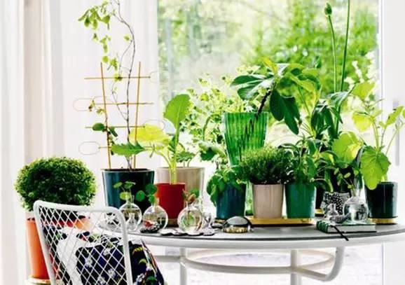 甲醛超標(biāo)怎么辦 甲醛超標(biāo)怎么辦