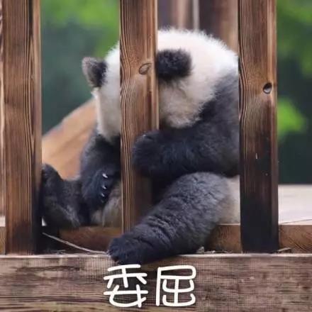 別大意！七大除甲醛“誤區(qū)”，信了你反而會(huì)生??！通風(fēng)、綠植、活性炭、熏蒸……你中招了嗎？
