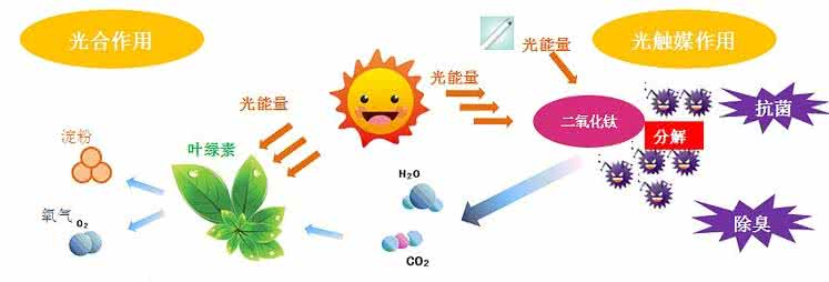家中甲醛超標(biāo)，什么才是甲醛治理的正確姿勢(shì)？